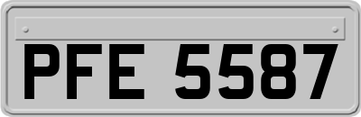 PFE5587