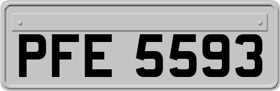 PFE5593