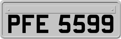 PFE5599