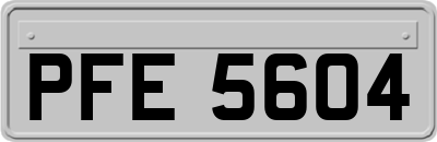 PFE5604