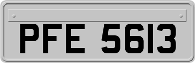 PFE5613