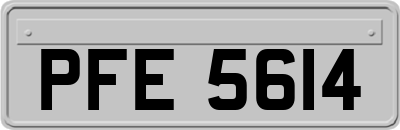 PFE5614