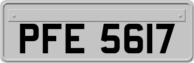 PFE5617