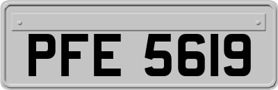 PFE5619