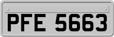 PFE5663