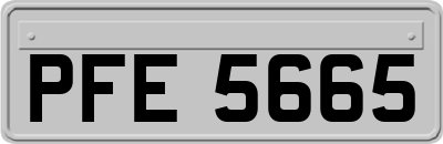 PFE5665