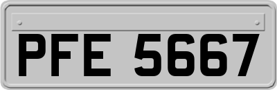 PFE5667