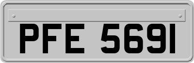 PFE5691