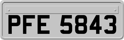 PFE5843