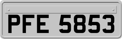 PFE5853