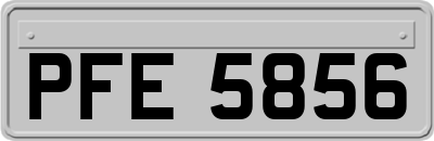 PFE5856