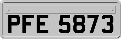 PFE5873