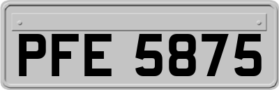 PFE5875