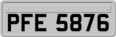 PFE5876