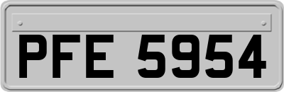 PFE5954