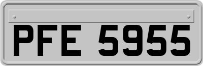 PFE5955
