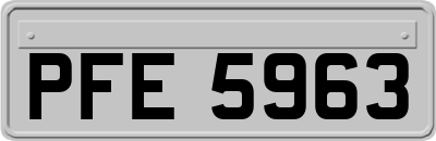 PFE5963