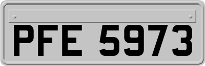 PFE5973