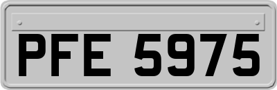 PFE5975
