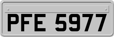 PFE5977