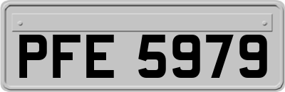 PFE5979