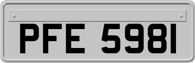 PFE5981