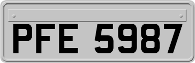 PFE5987