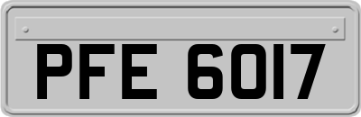 PFE6017