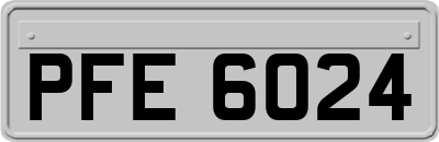 PFE6024