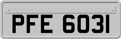 PFE6031