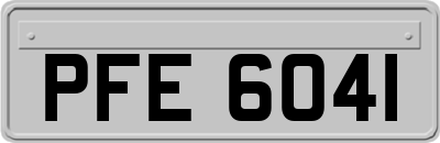 PFE6041