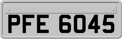 PFE6045