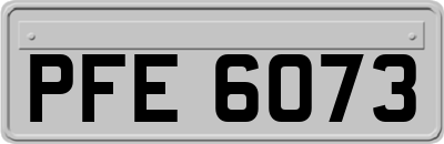 PFE6073