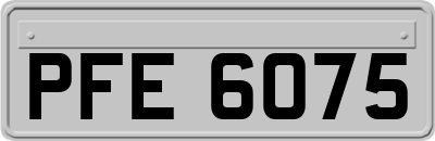 PFE6075