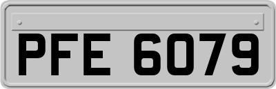 PFE6079