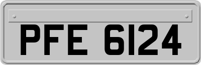 PFE6124