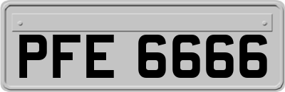 PFE6666