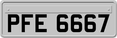PFE6667