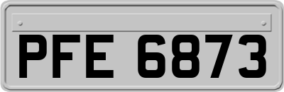 PFE6873