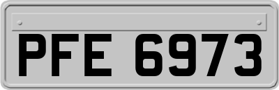 PFE6973