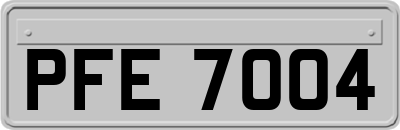 PFE7004