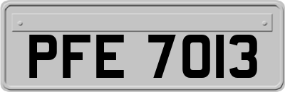 PFE7013
