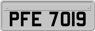 PFE7019