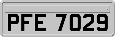 PFE7029