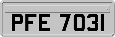 PFE7031