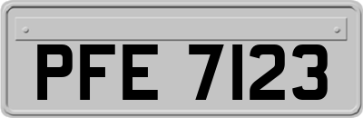 PFE7123