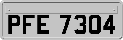 PFE7304