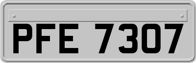 PFE7307
