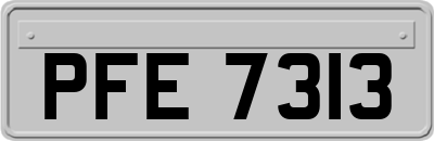 PFE7313