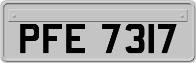 PFE7317